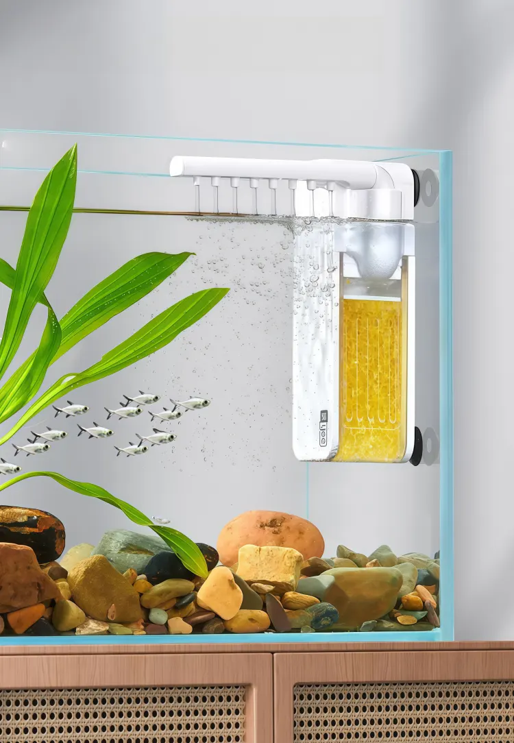 3-in-1 function, comprehensive care