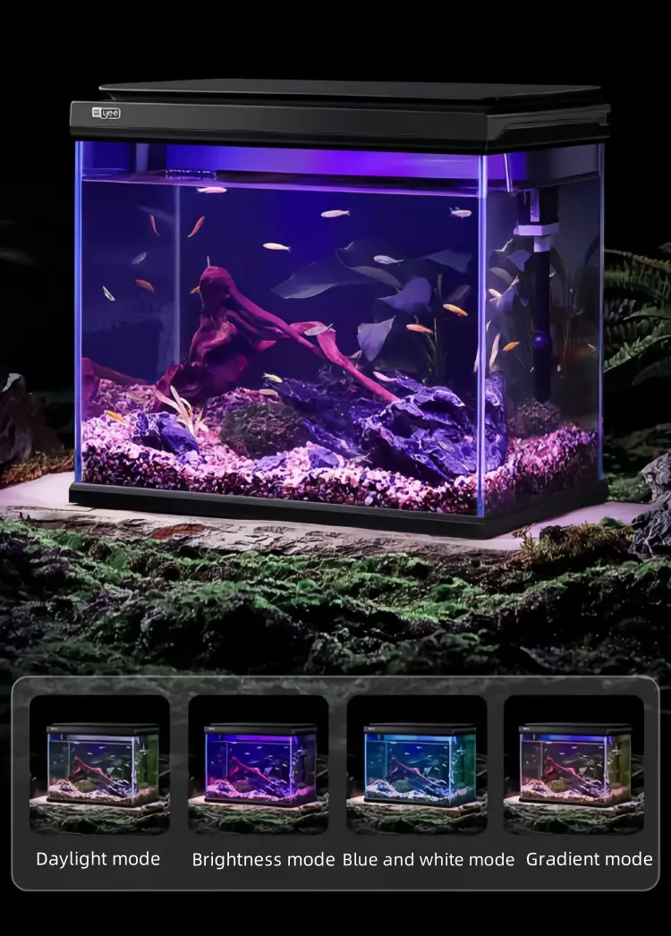 Four lighting modes to create a variety of atmospheres