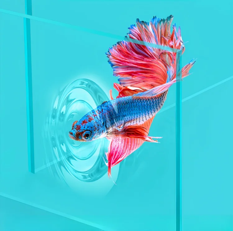 High-transmittance glass, restore true colors