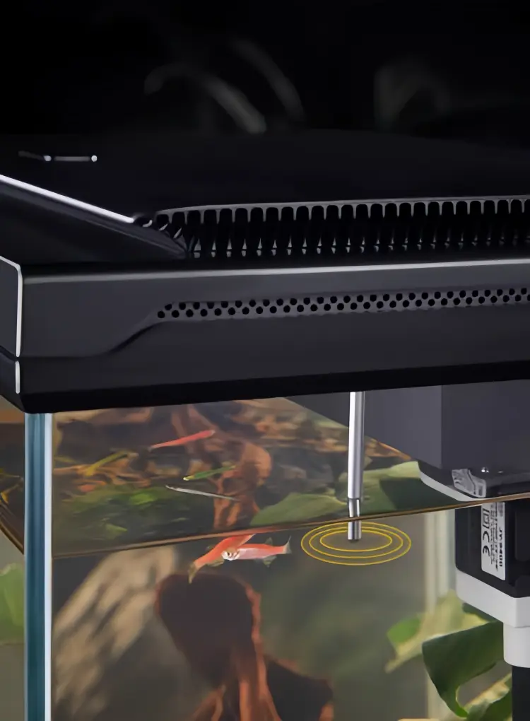 Smart interactive fish tank