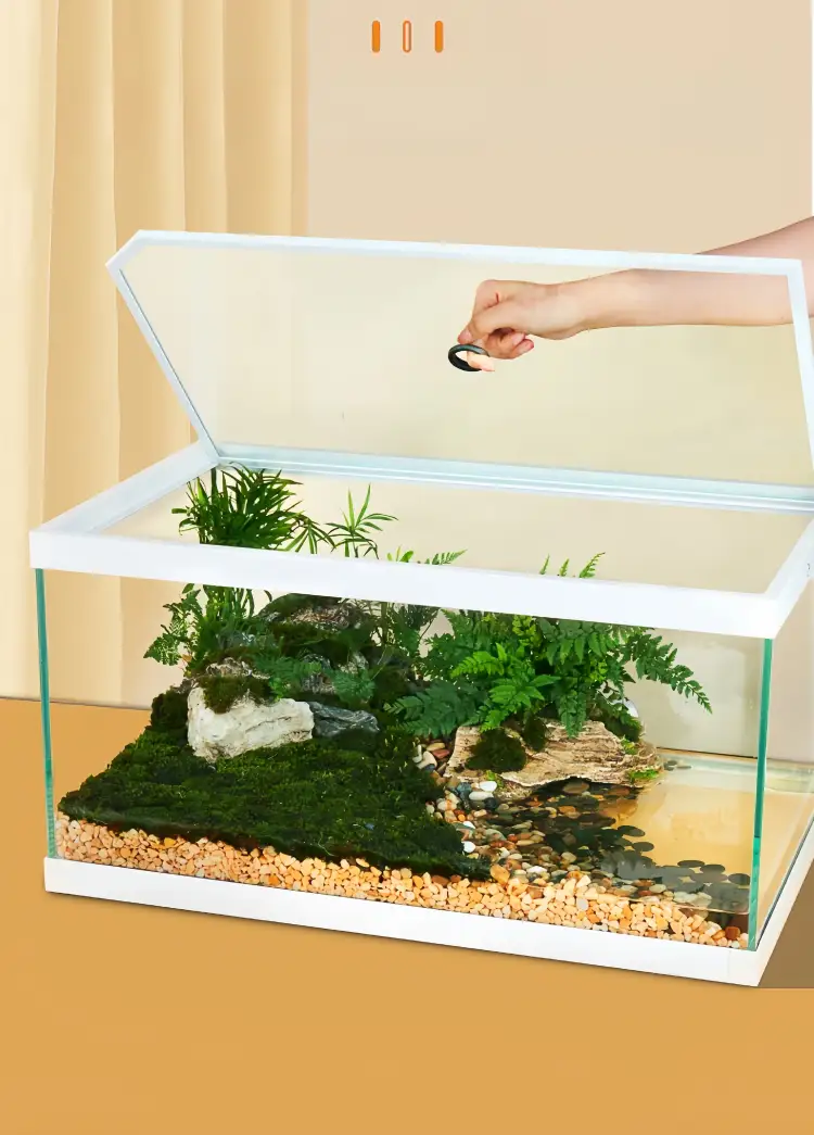 The top flip design makes feeding and interaction more convenient