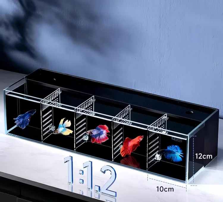back filter betta fish tank 2 - yee