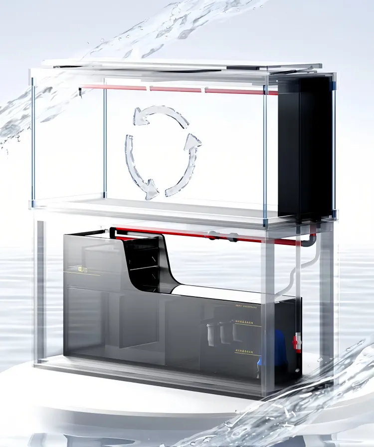 200 gallon fish tank dedicated filtration system 2