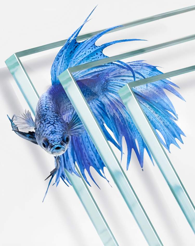Ultra White Glass Fish Tank Wholesale 2-yee