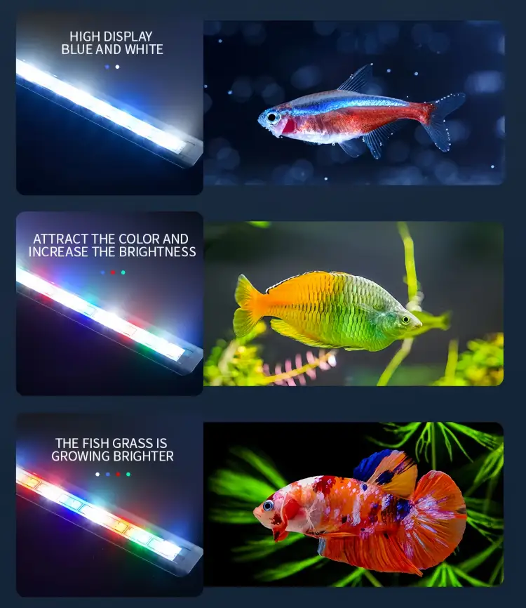 11000K color temperature full coverage, restore the true color of organisms