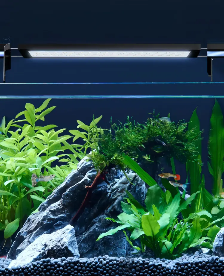 1100K color temperature fish tank light, more uniform spectrum distribution