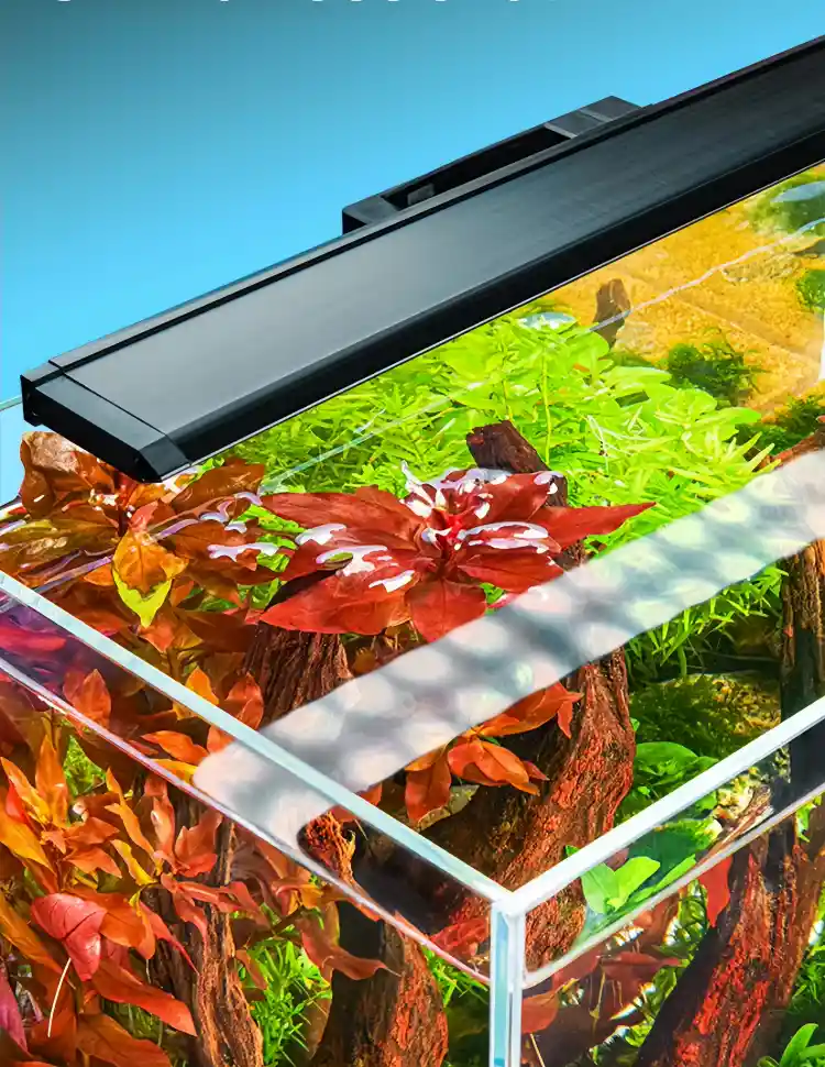 All-round fish tank lighting