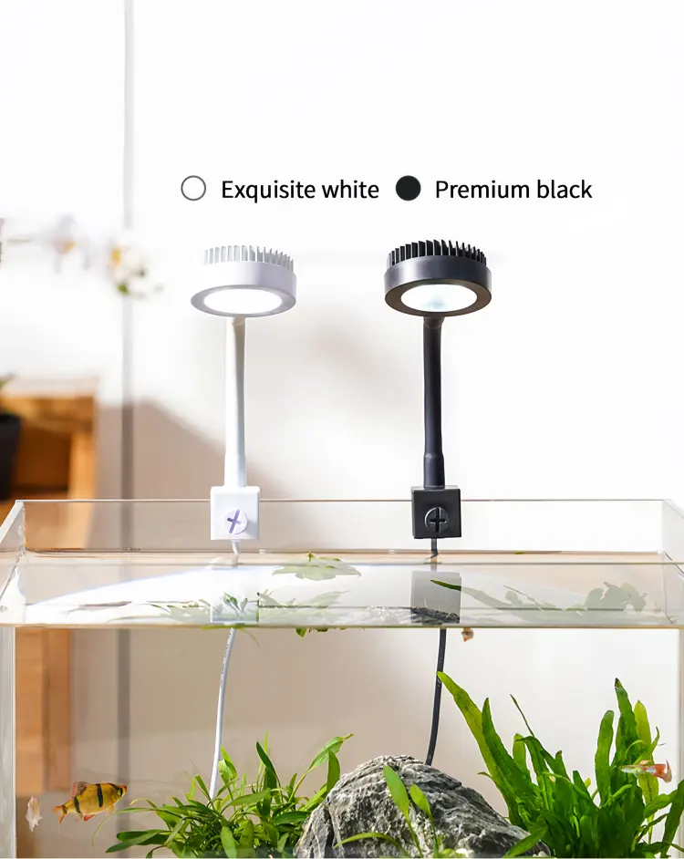 Available in black and white, personalized customization