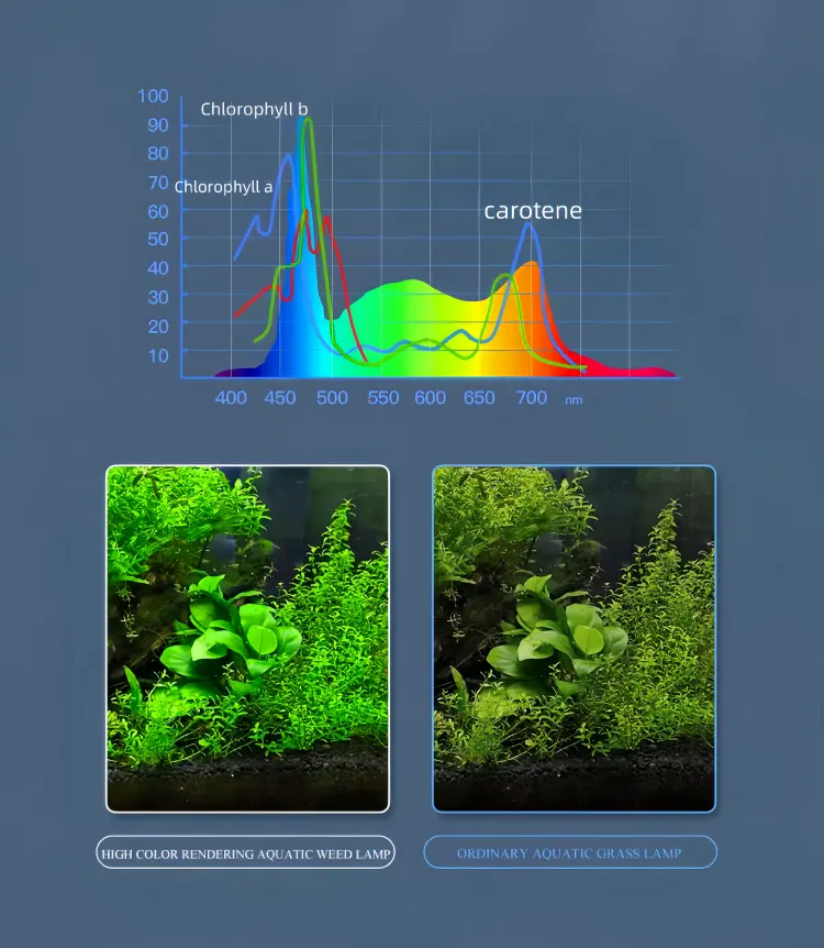 High color rendering index, simulates natural light effect