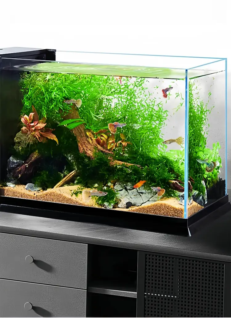 High -definition glass fish tank