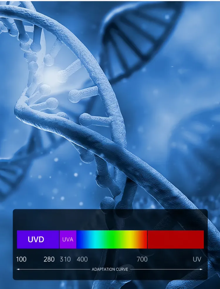 UVD band ultraviolet rays, excellent sterilization effect