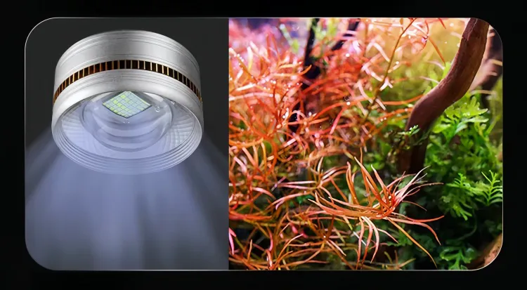 aquarium light wholesale 5 yee