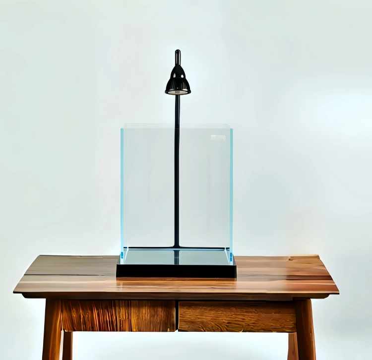 landscape aquarium