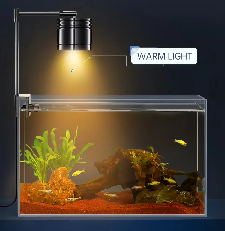 warm white light 3