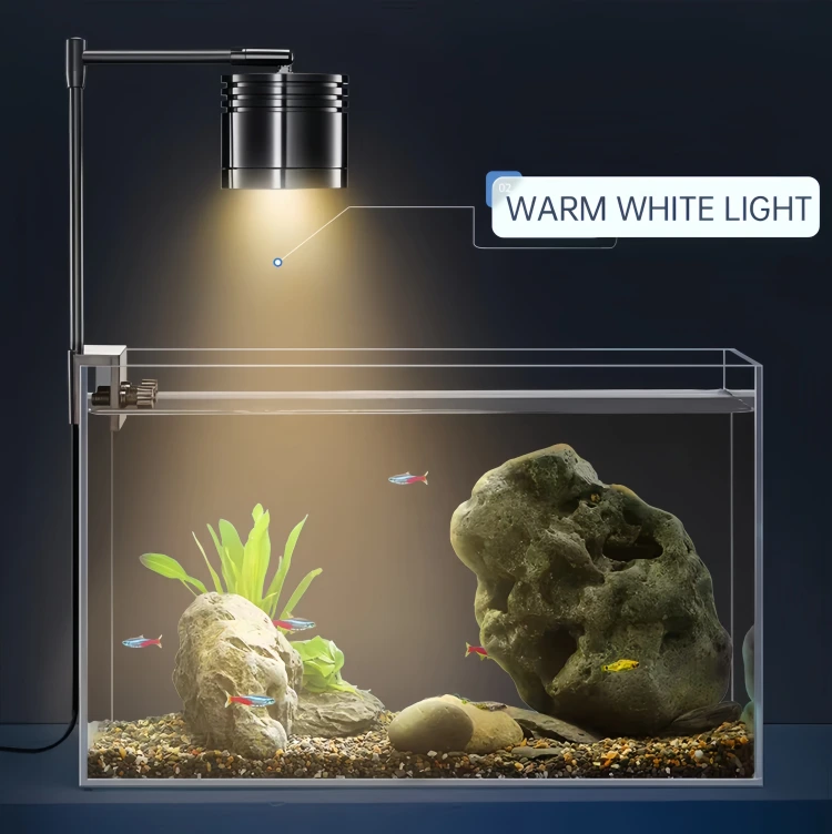 warm white light