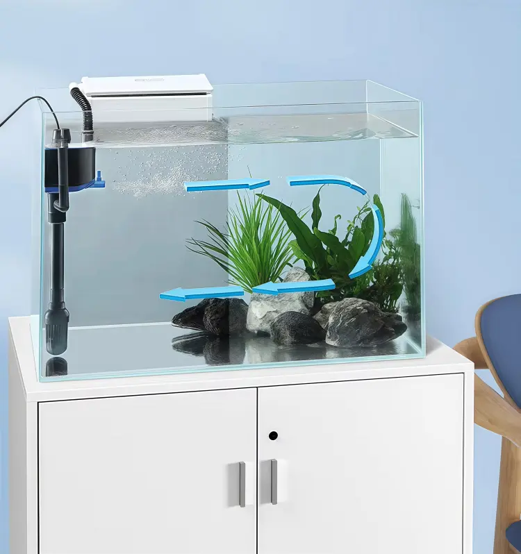 Circulation water purification