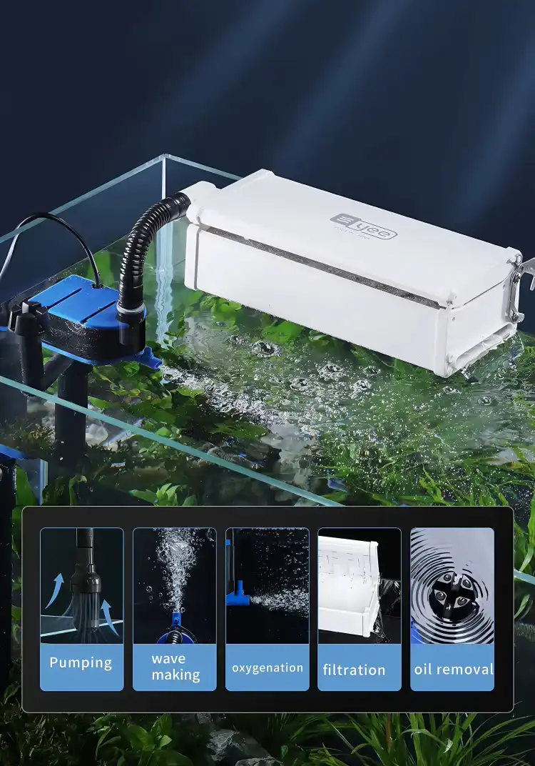 Increase dissolved oxygen and enhance fish vitality