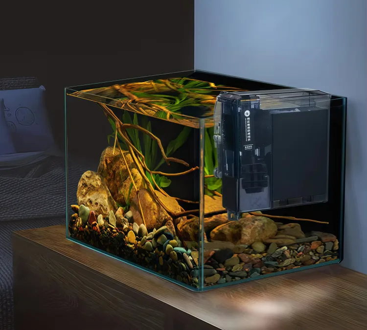 Low-noise motor to create a quiet aquarium environment