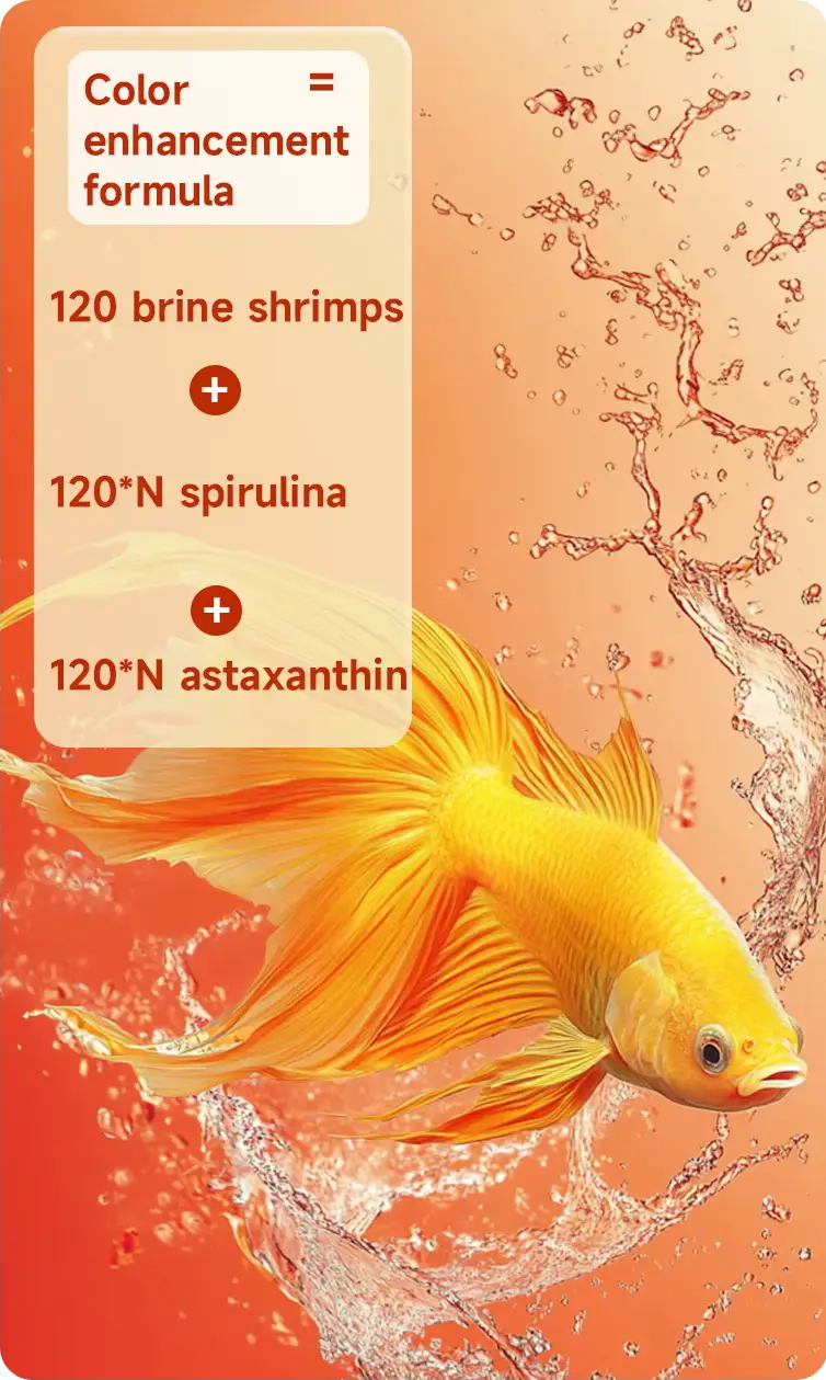 Brine Shrimp Fish Food wholesale