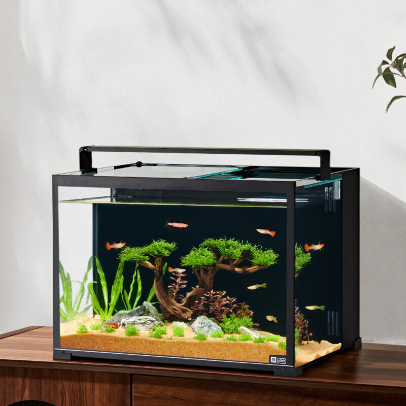 fish tank
