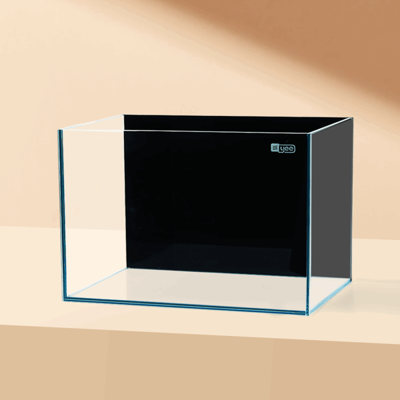 Low Iron Glass Fish Tank With Black Background