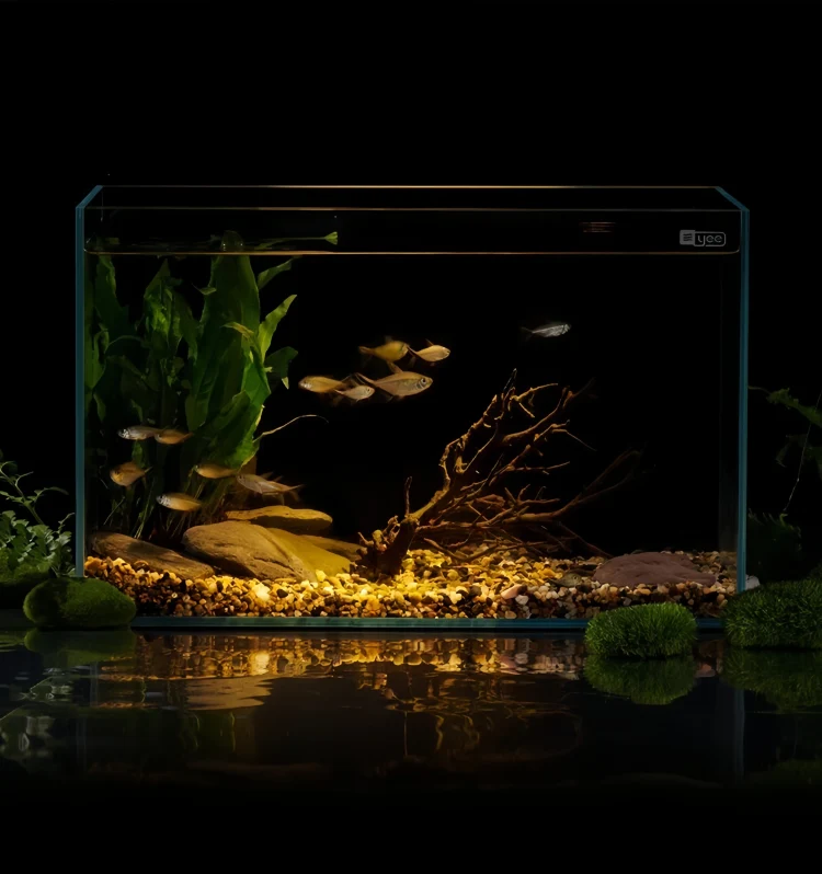 Fish tank with black background 3