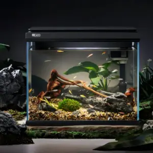 Smart fish tank - yee