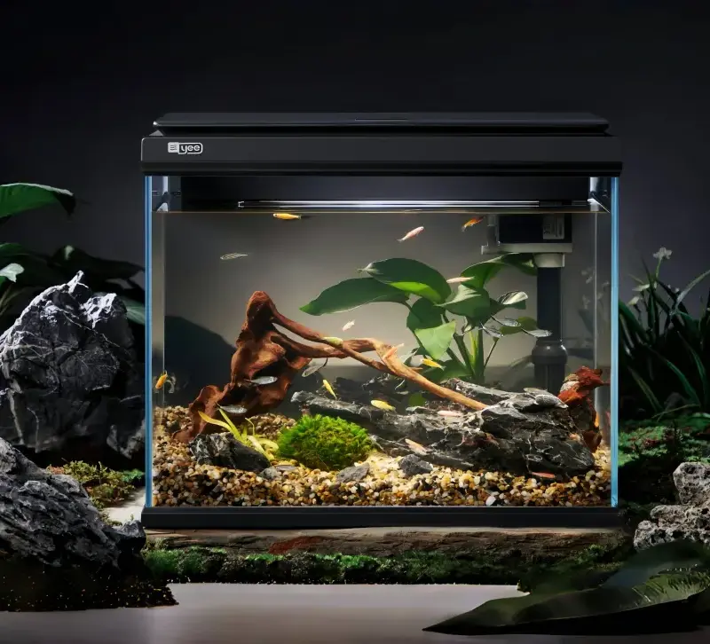 Smart fish tank - yee