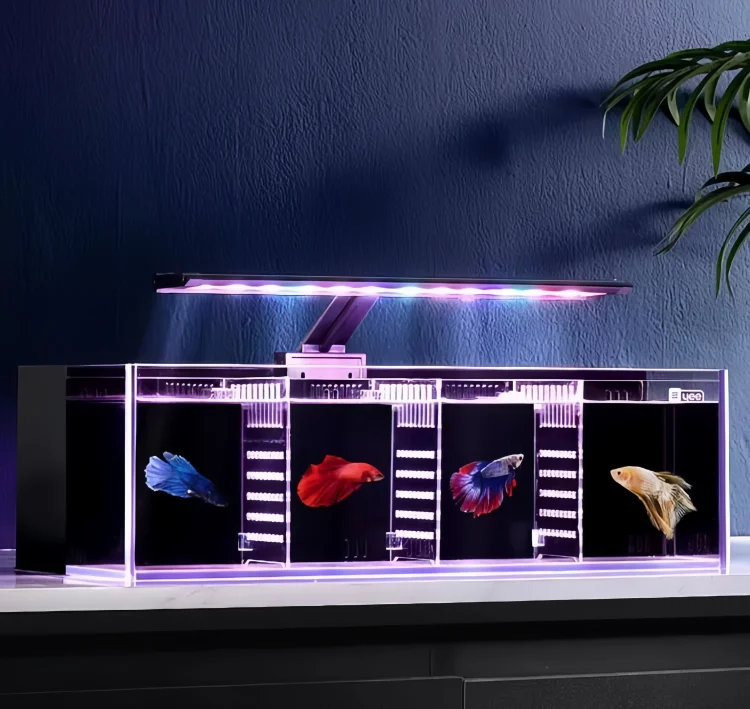 back filter betta fish tank - yee
