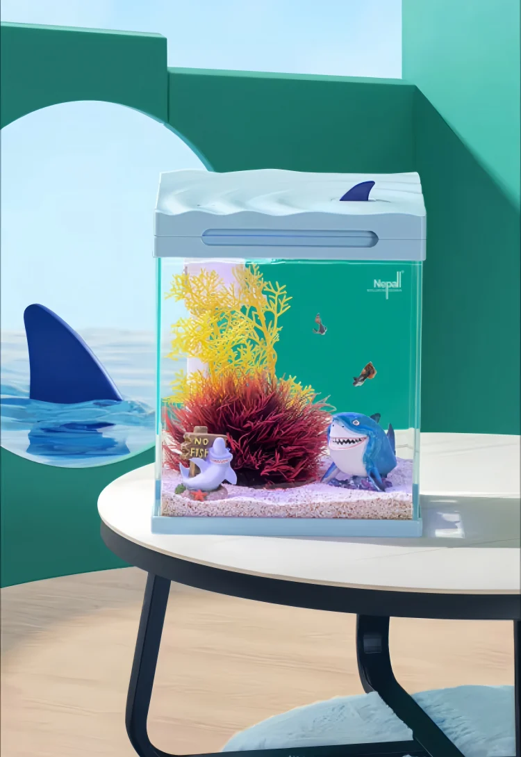 betta fish tank with filter