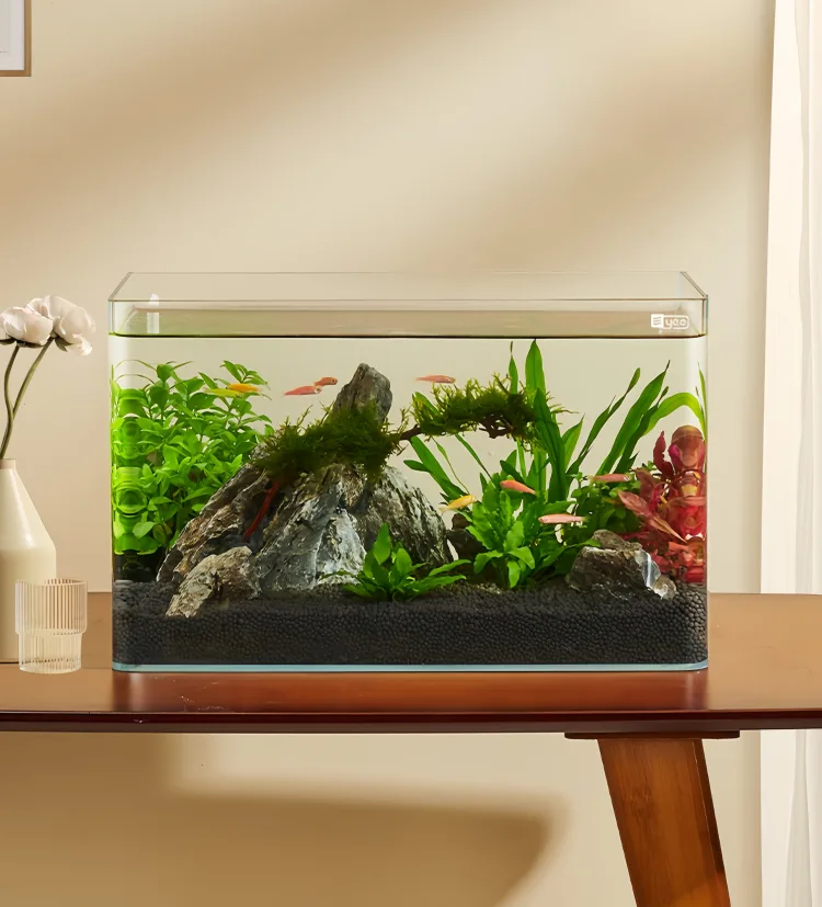 curved fish tank 2