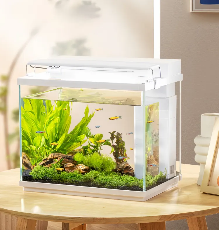 silent air pump fish tank 1