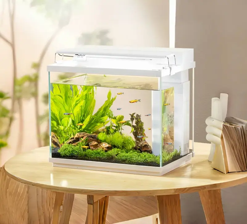 silent air pump fish tank