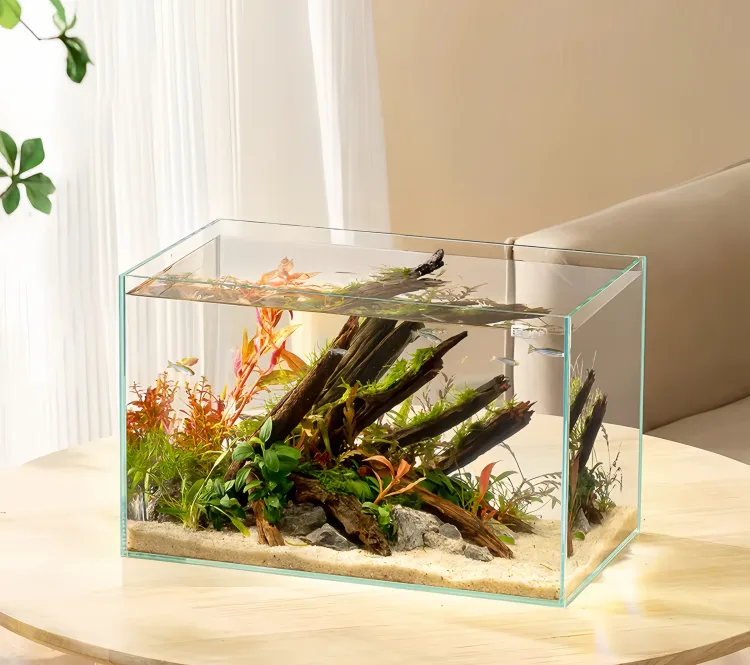 small glass fish tank