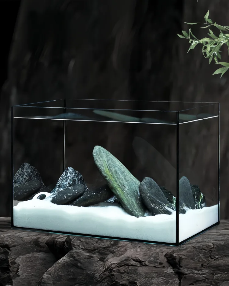 small planted tank 4