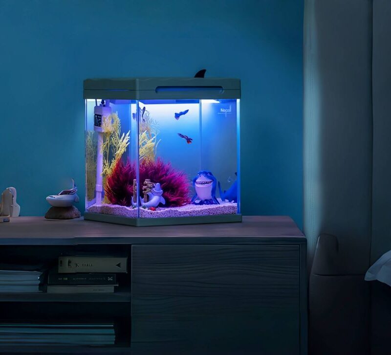 yee shark small fish tank wholesale supply 3-1