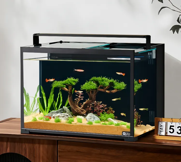 yee sliding ultra-white glass fish tank with back filter wholesale 5