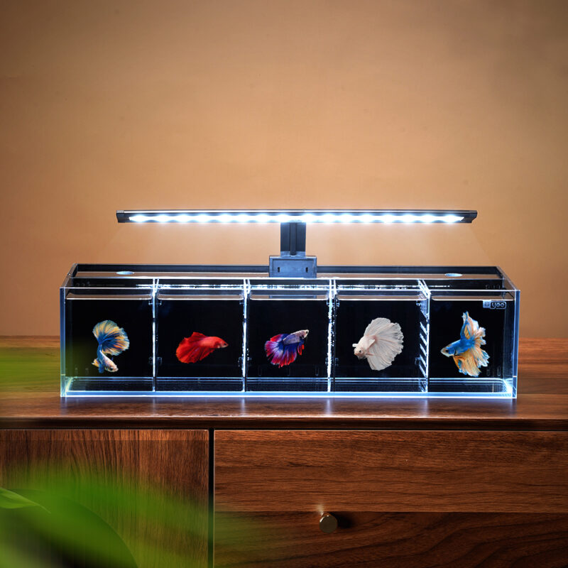Back Filter Betta Fish Tank