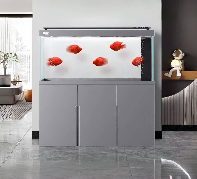 YEE Four-Corner Overflow Arowana Tank 3