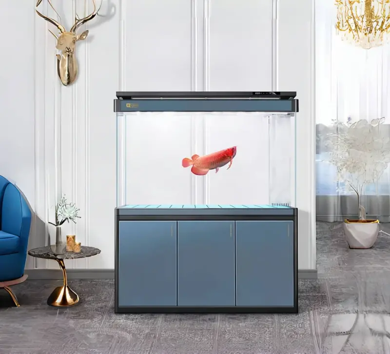 Wholesale 100 Gallon Fish Tank