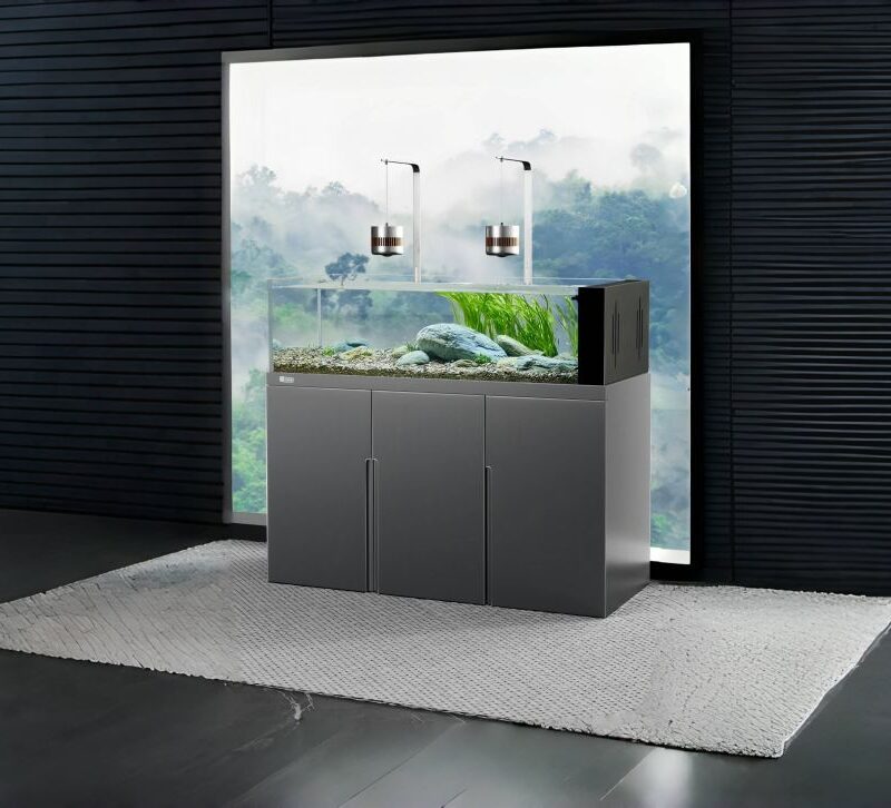 yee big fish tank 1-2