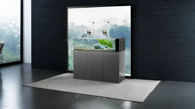 yee big fish tank