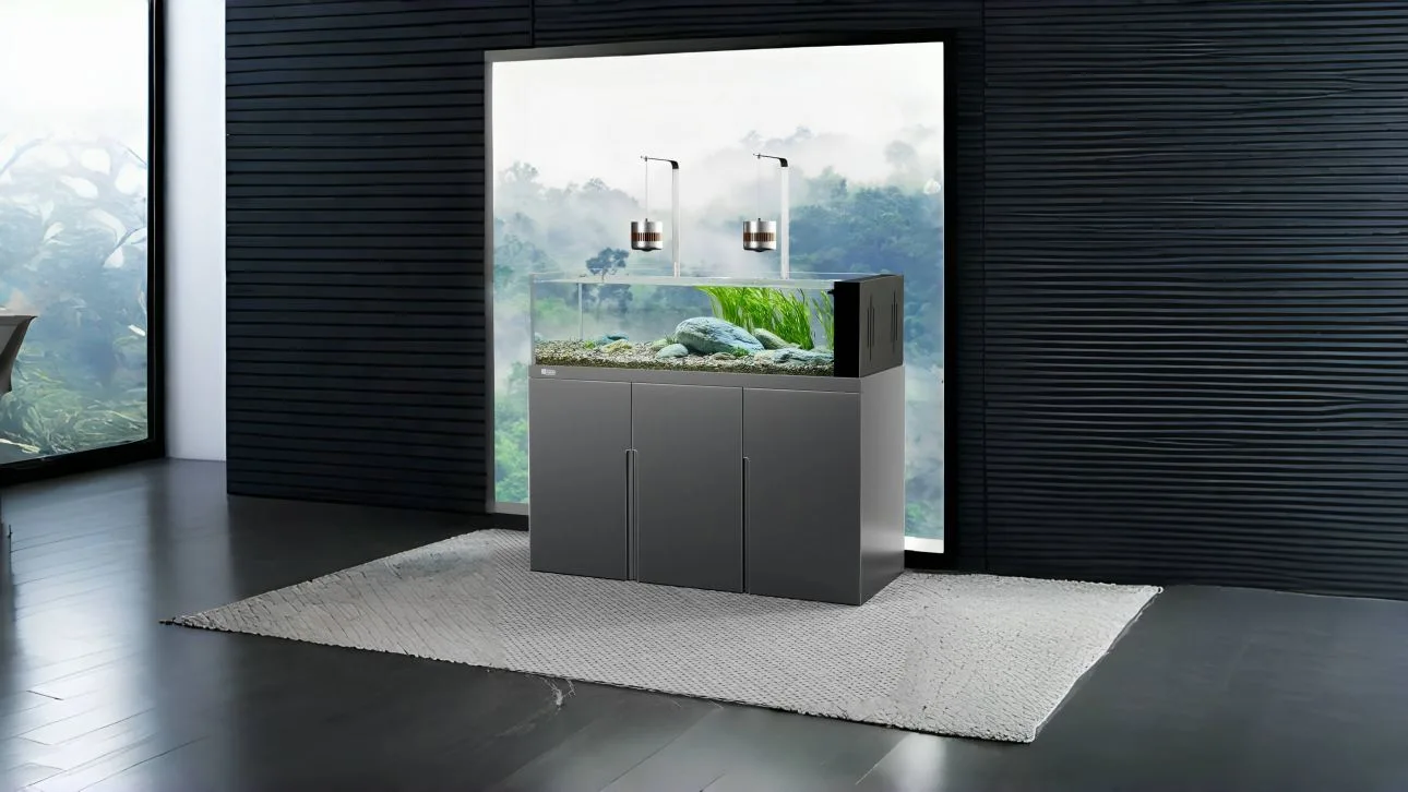 yee big fish tank