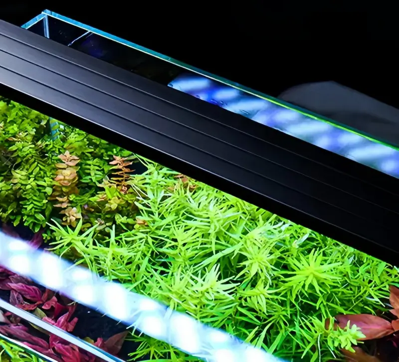 Aquarium led light yee