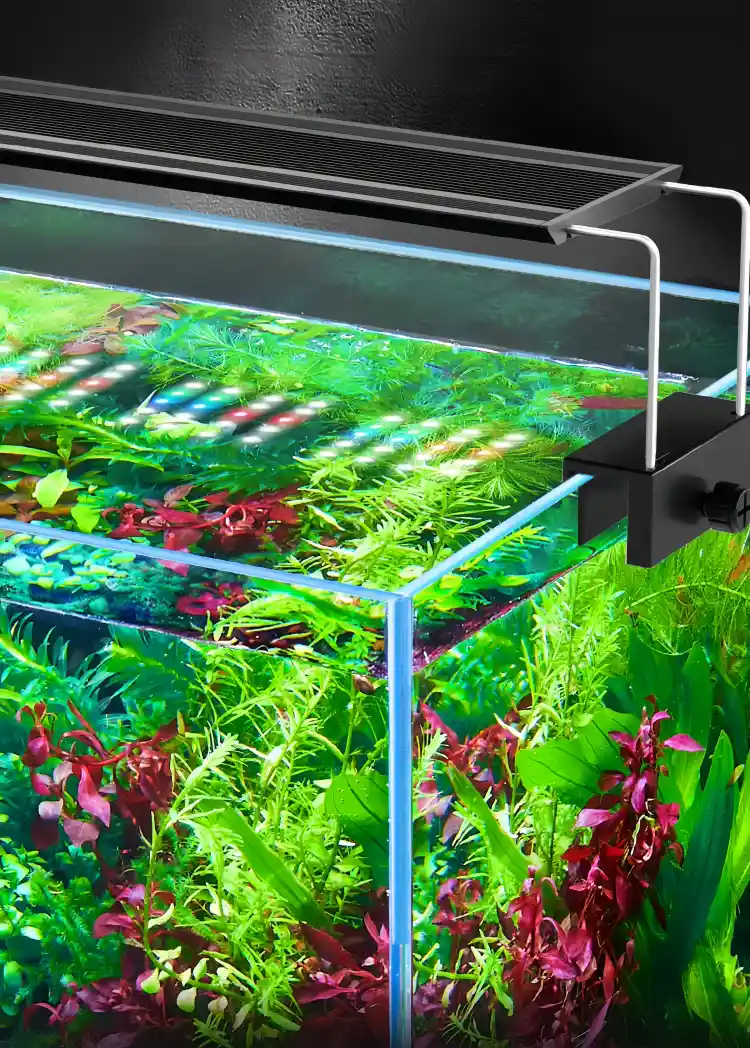 Wholesale Full Spectrum Led Light 3