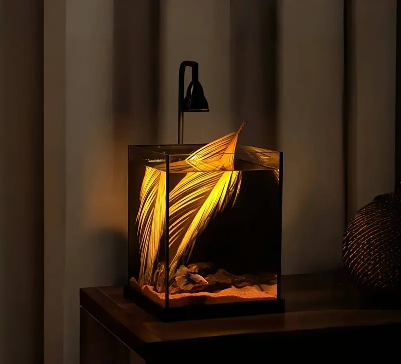 landscape aquarium