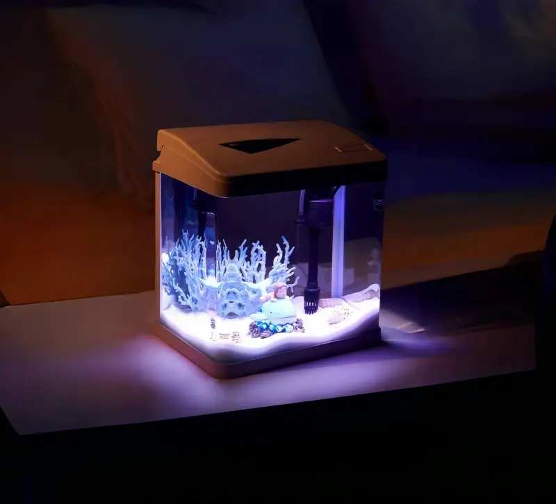 small fish tank with filter 2