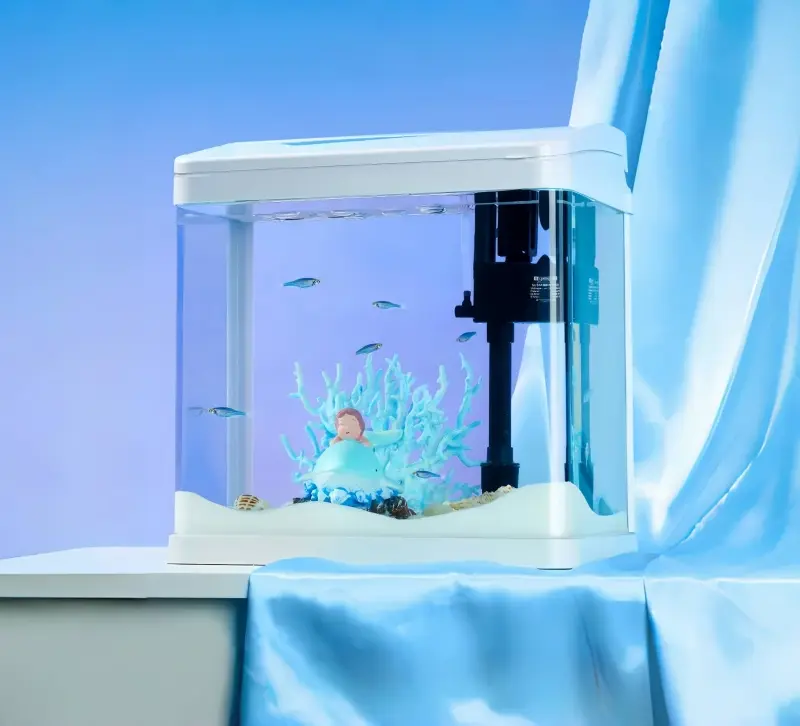 small fish tank with filter