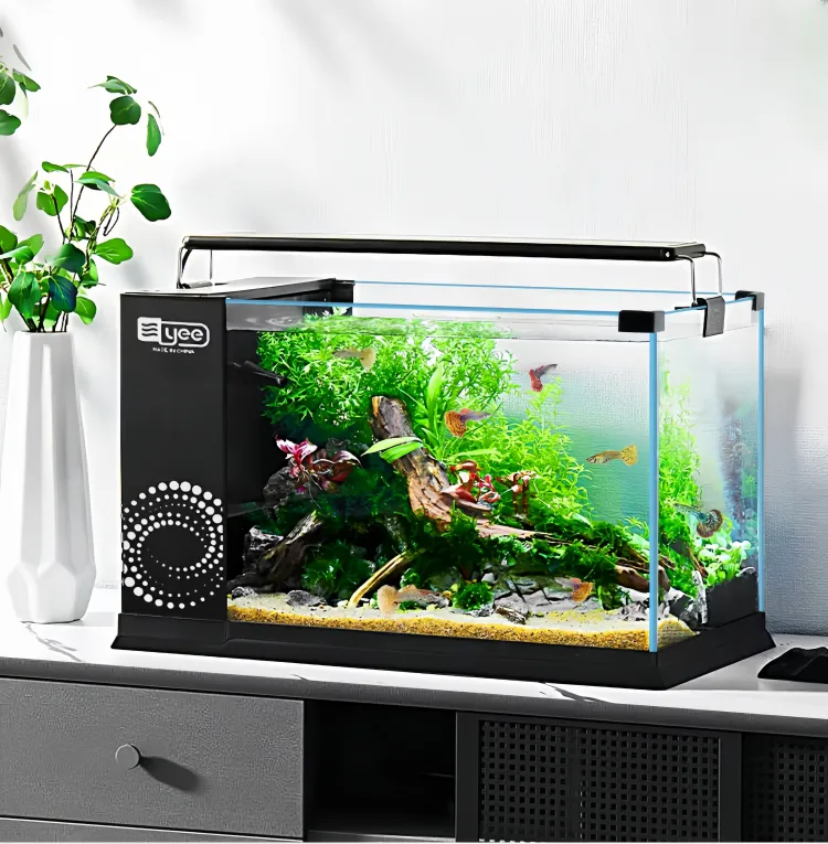 small fish tank with light and filter 2