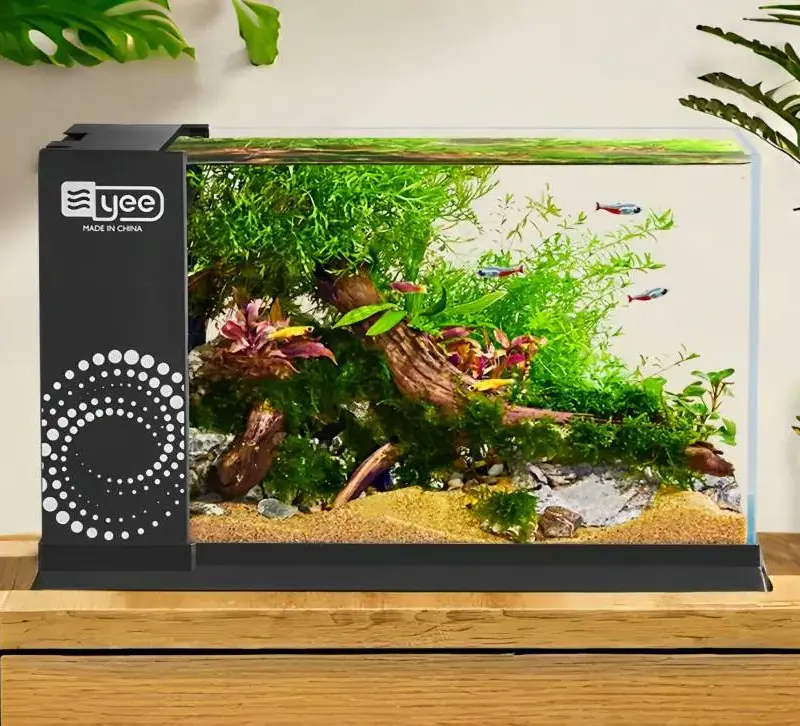 small fish tank with light and filter